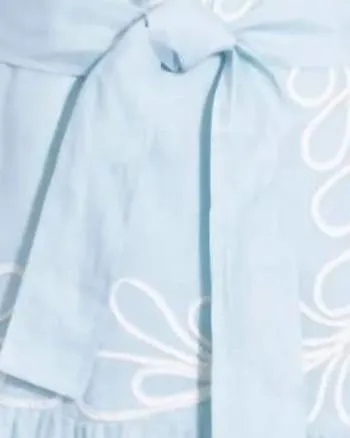 Claudine Embroidered Mini Dress In Sky | Sky