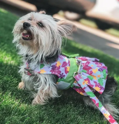 Dress | Pink Hawaiian Hibiscus